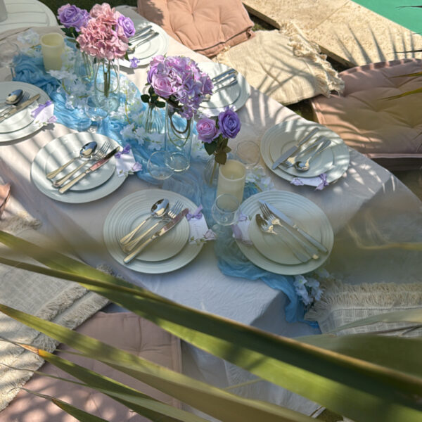 luxury picnic - thème bleu et rose