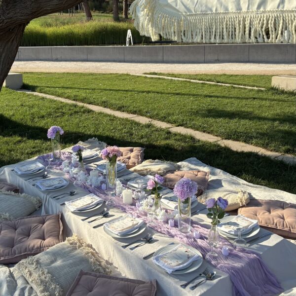 Luxury picnic by SUBLIM'ADRESSE