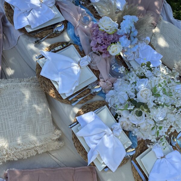 luxury picnic & gender reveal