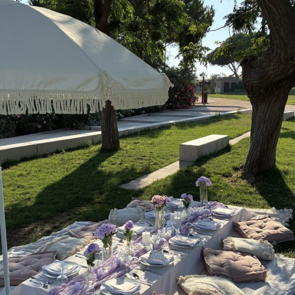 Luxury picnic thème Bridgerton