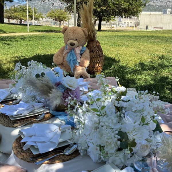 Gender reveal en extérieur, luxury picnic